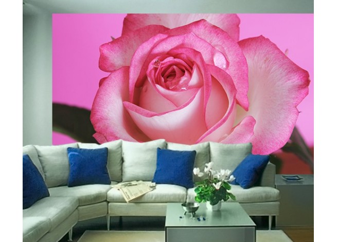 Фотообои Бутон розовой розы