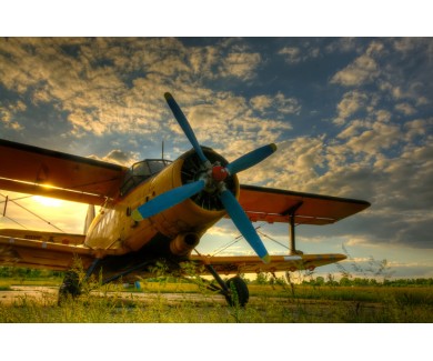 Фотообои Старый самолет, на зеленой траве, на фоне заката