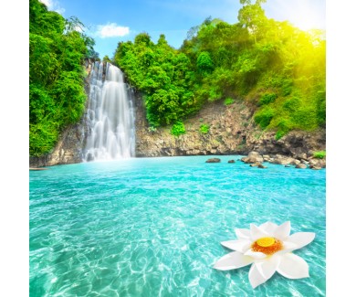Фотообои Красивый цветок лотоса в водопаде