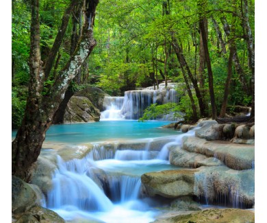 Фотообои Лесной водопад