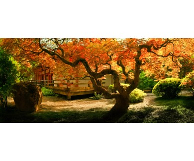 Фотообои Осенний сад и чайный домик