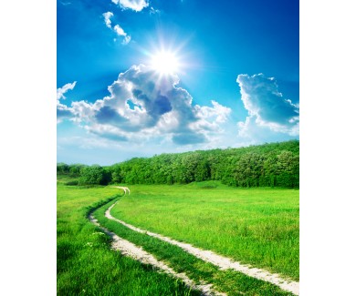 Фотообои Тропинка в зелёном лугу и глубокое синее небо