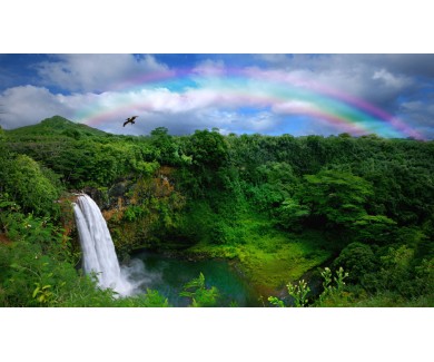 Фотообои Водопад на острове кауаи