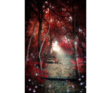 Фотообои Волшебный красный лес