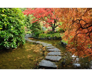 Фотообои Японский сад в городе Виктория, Канада