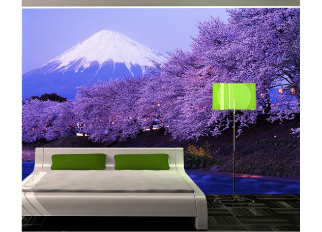 Фотообои Сад с видом на заснеженную гору Фудзи