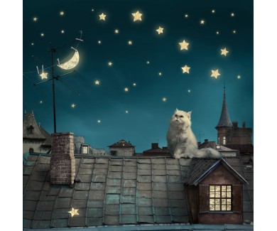 Фотообои Кот на крыше ночью