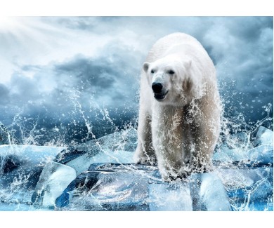 Фотообои Полярный медведь на льдине