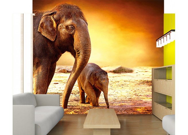 Фотообои Семья слонов на закате