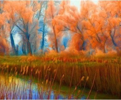 Фотообои Оранжевый лес у воды