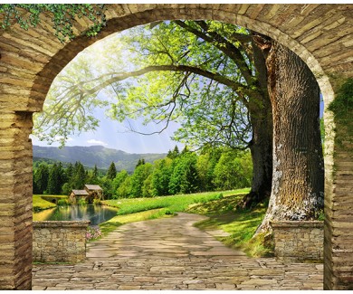 Фотообои Широкая арка с видом на лес и реку