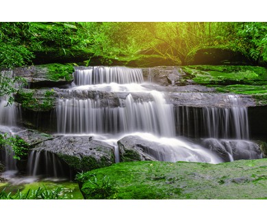 Фотообои Водопад в лесу
