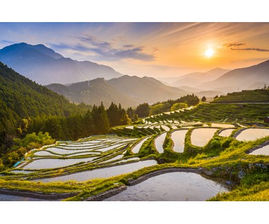 Фотообои Рисовые террасы в горах
