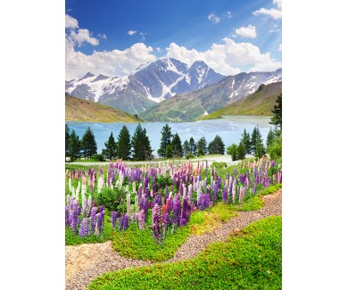 Фотообои Цветы и горы