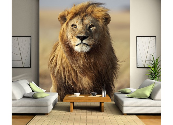 Фотообои Величественный лев с золотой гривой