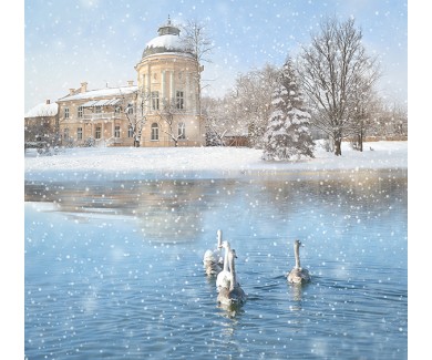 Фотообои Лебеди зимой