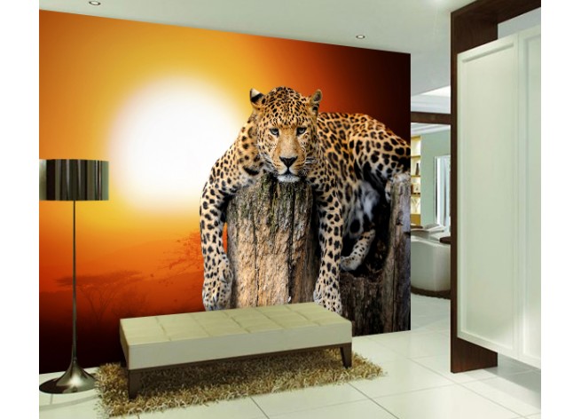 Фотообои Леопард на закате