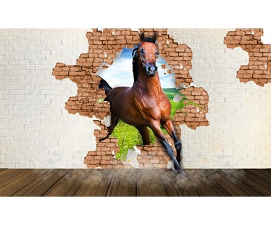 Фотообои Лошадь выбегающая из стены