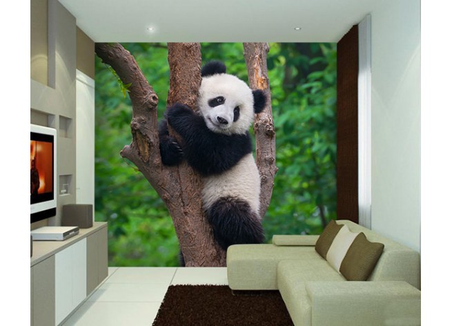 Фотообои Маленькая панда