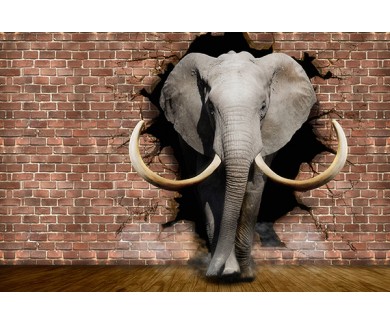 Фотообои Слон выбегающий из стены