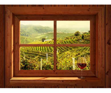 Фотообои Окно с видом на виноградники