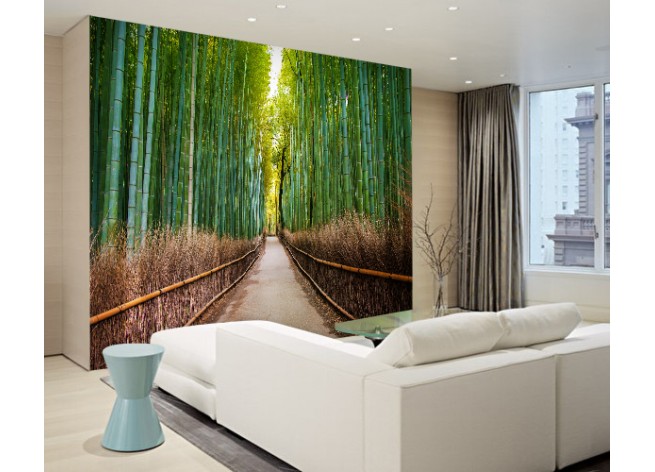 Фотообои Бамбуковый лес в Японии