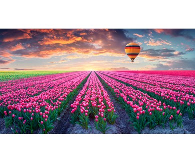 Фотообои Полет на воздушном шаре над полем цветущих цветов