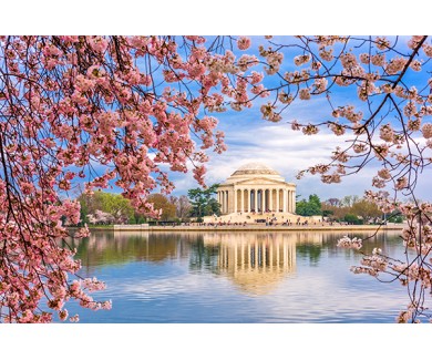 Фотообои Вашингтон весной