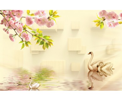 Фотообои Красивая семья лебедей весной
