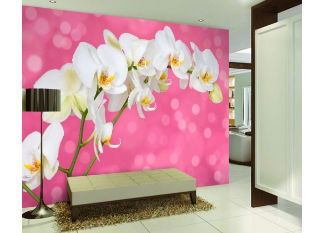 Фотообои Белая орхидея на розовом фоне