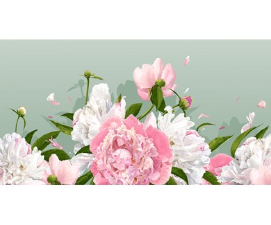 Фотообои Розовые и белые пионы