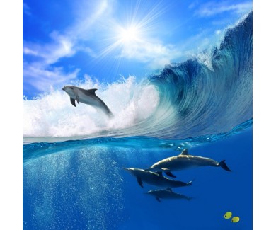 Фотообои Резвящиеся дельфины