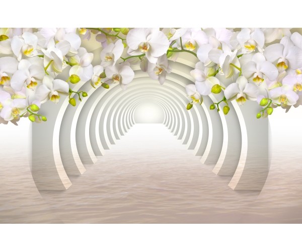 Фотообои Белые цветы на фоне арочного свода