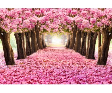 Фотообои Цветочный рай