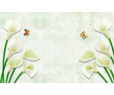 Фотообои Каллы и бабочки