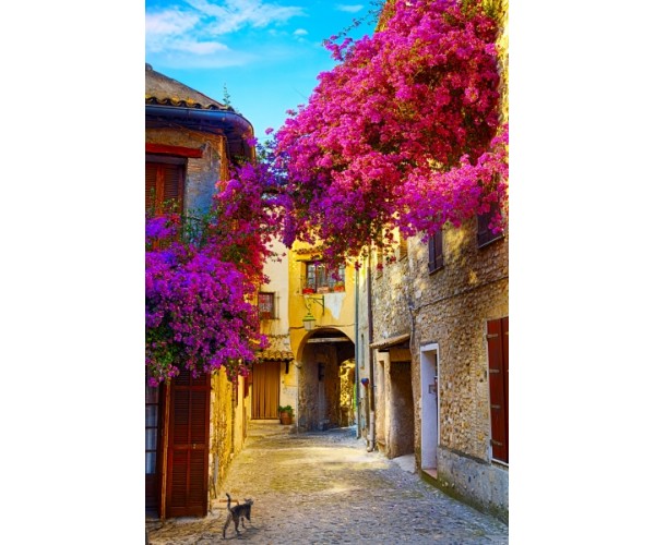 Фотообои Красивый Старый город Прованса