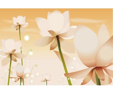 Фотообои Белые цветы на оранжевом фоне