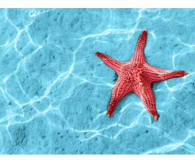 Наклейка на пол Морская звезда в голубой воде