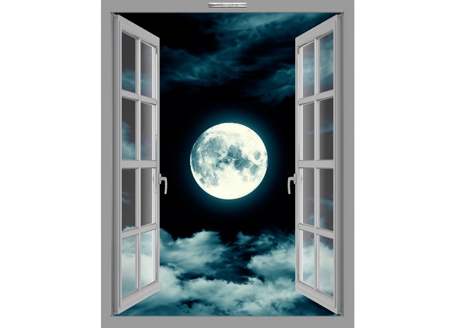 Наклейка на стену Ночное небо с видом на луну