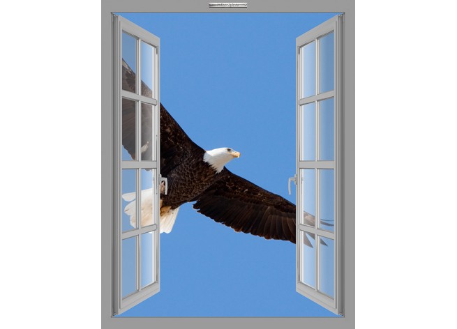 Наклейка на стену Белоголовый орлан в полёте